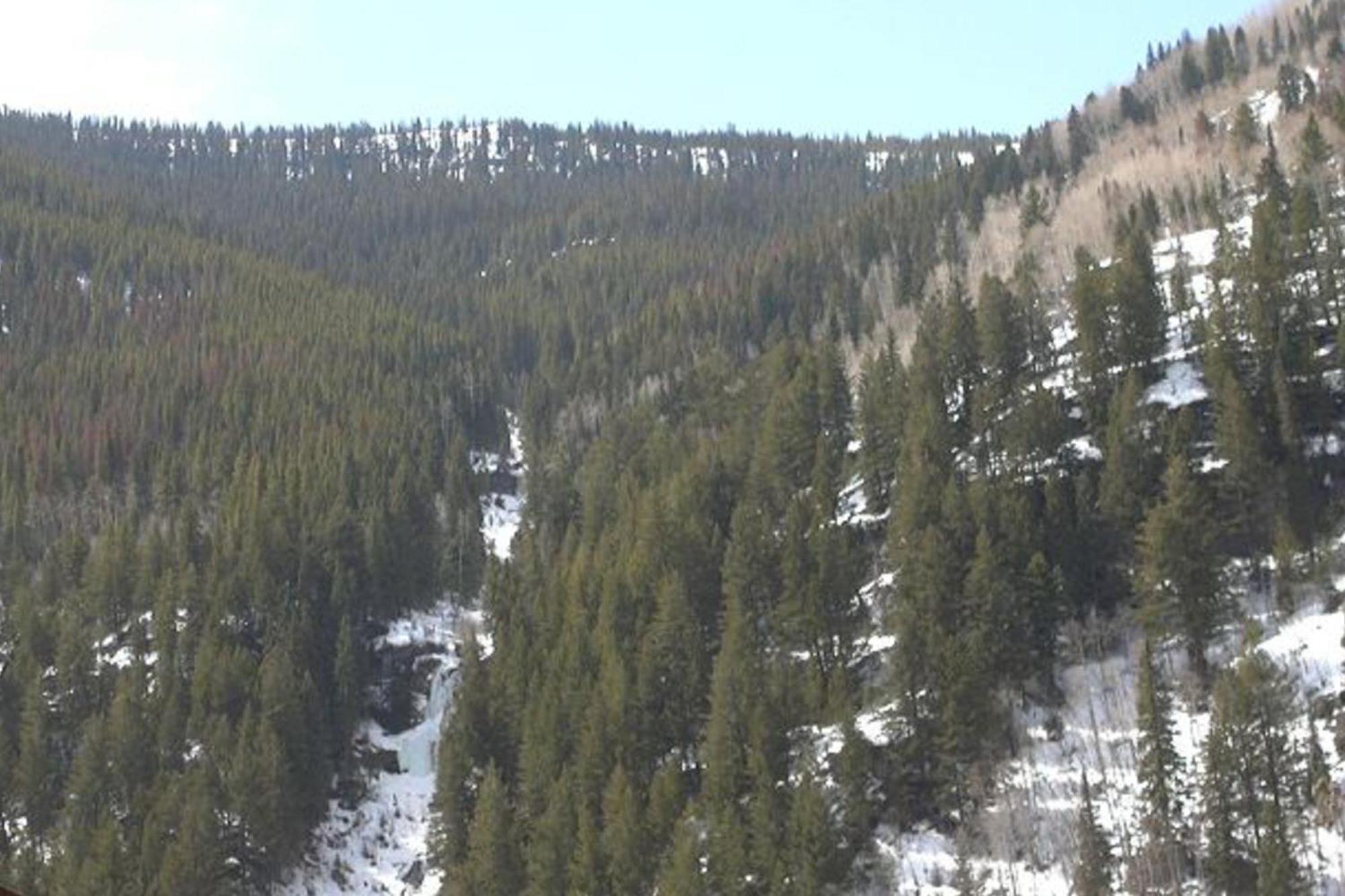 Pitkin Creek Park 7 Villa Vail Room photo